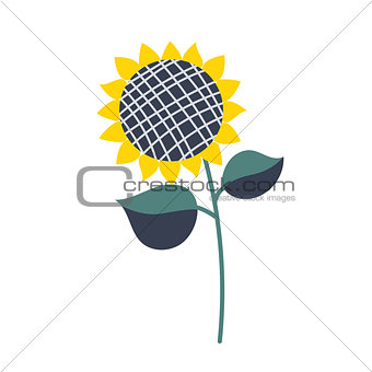 Sunflower isolated vector illustration cartoon style.