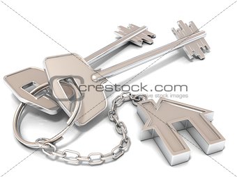 Two house door keys and house key-chain