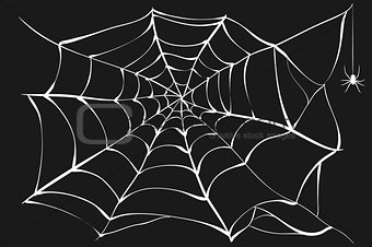 White cobweb and spider on black background