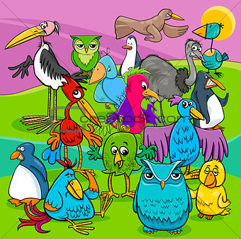 bird characters group cartoon illustration