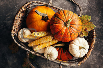 Pumpkins and corn in the basket