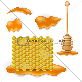 Sweet Honey Combs