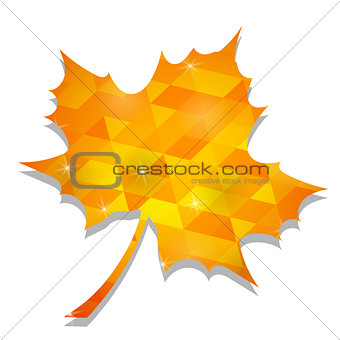 Autumn Yellow  Leaf