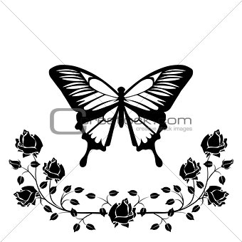 butterfly with flourishes