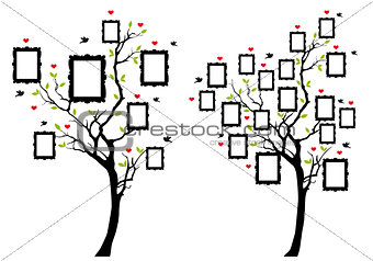family tree with photo frames, vector