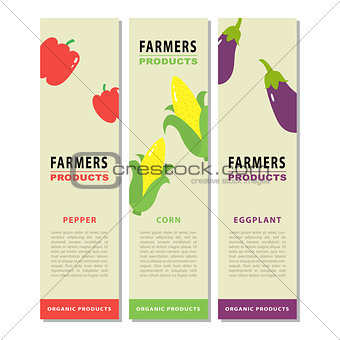 Design template of a vegetable vertical flyers 2.