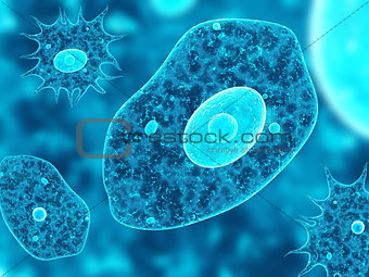 Amoebas on abstract blue background