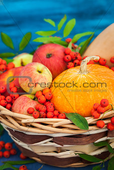 Autumnal still life with pumpkins, apples and rowanberry