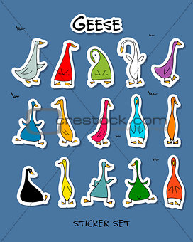 Funny goose, sticker set for your design