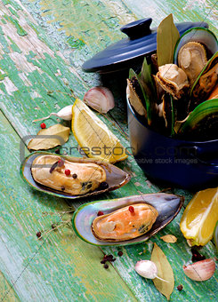 Boiled Green Mussels