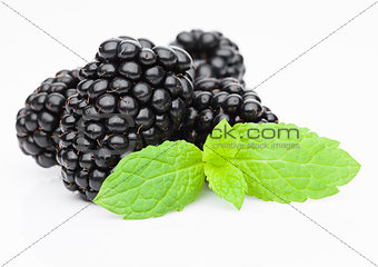Fresh healthy summer blackberries with mint leaf