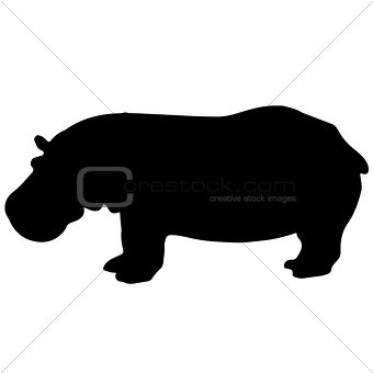 black and white vector hippo silhouette