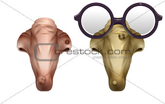 Scary realistic mask witches nose. Glasses and nose with wart. Halloween Accessory
