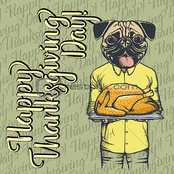 Vector illustration of Thanksgiving pug dog concept