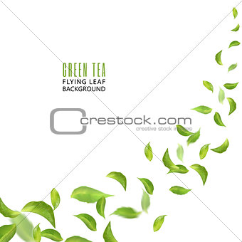 Flying green leaves on white background. Leaves in the wind. Fresh spring foliage. Vector illustration. Tea advertising concept, environment and ecology backdrop