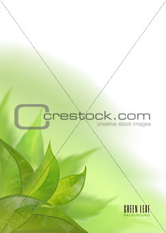 Vector abstract watercolor imitation background with leaves. Design template with place for your text. Can be used for web pages, identity style, printing, invitations, banners.