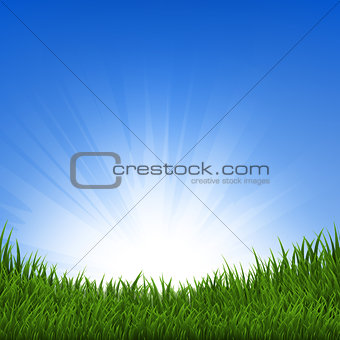 Grass And Sunbeam