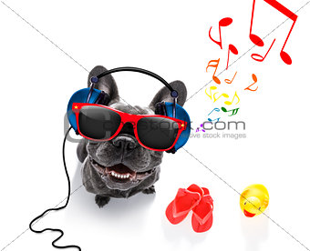 dog with music earphones