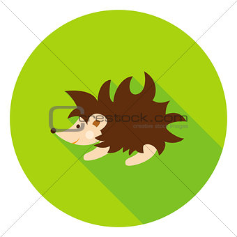 Hedgehog Circle Icon