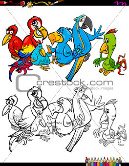 cartoon parrots characters coloring book
