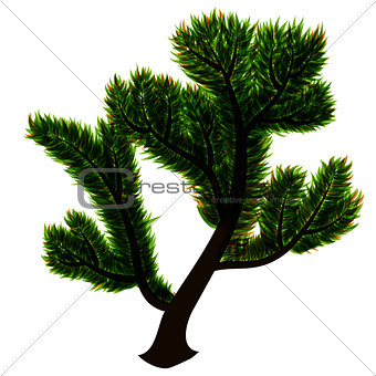abstract isolated vector tree with green leaves