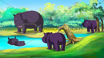 Group of Hippopotamuses by the River