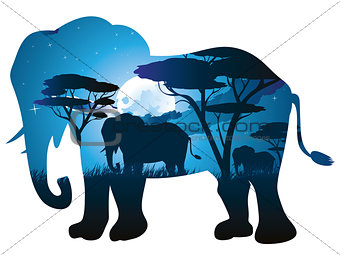 African Night with Elephant