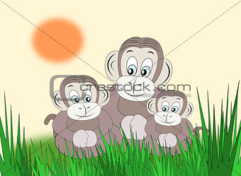 Happy Monkey Family
