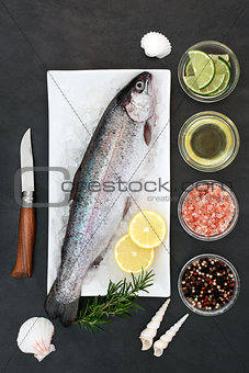 Rainbow Trout on Crushed Ice