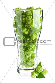 Beer goblet with aromatic hop and green leaves.