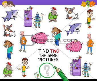 find two the same pictures cartoon game
