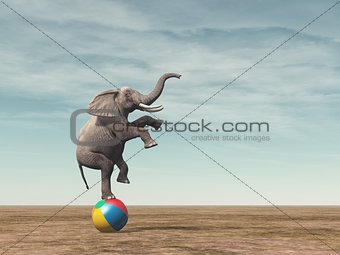 Surreal image of an elefant balancing