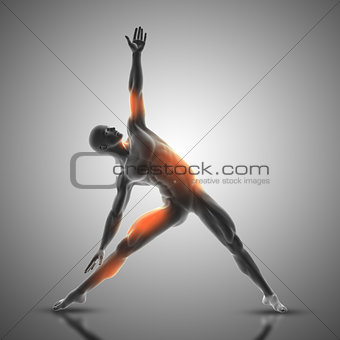3D male figure in triangle pose