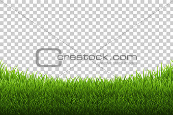 Grass Panorama Transparent Backgrund