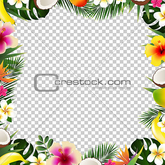 Tropical Frame Isolated
