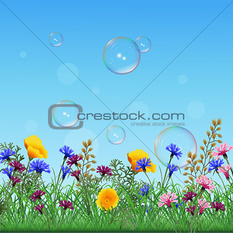 lawn with colorful flowers and herbs