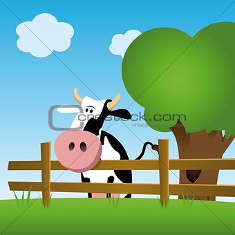 Dairy cow in a field