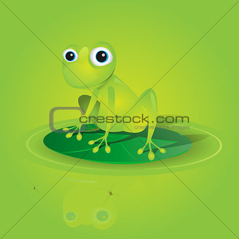 Lovely Green Frog On A Waterlily