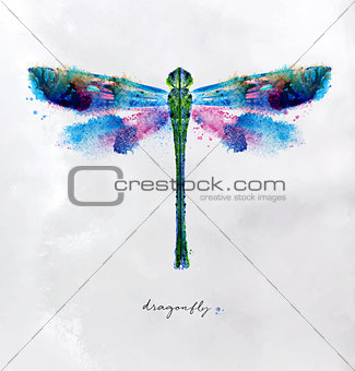 Monotype vivid dragonfly