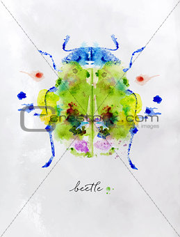 Monotype colorful beetle