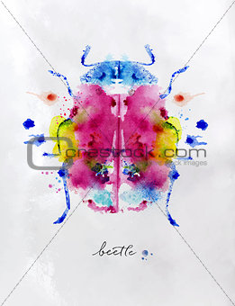 Monotype color beetle