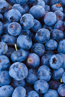 Blueberries background