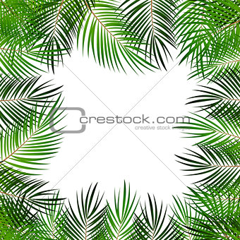 Palm Leaf Vector Background  with White Frame Illustration