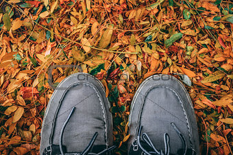 Shoes in the leaves