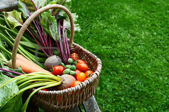 Woven basket filled with freshly harvested vegetables from an al