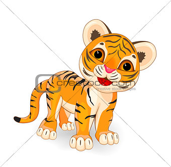 Cute  tiger