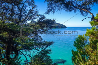 Track view in Abel Tasman National Park, New Zealand