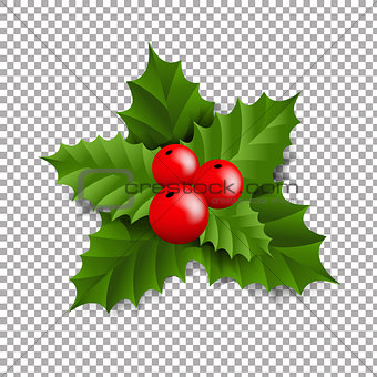 Holly Berry With Transparent Background