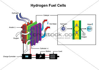hydrogen fuel cells diagram.