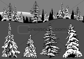 Snowy Coniferous Tree Set